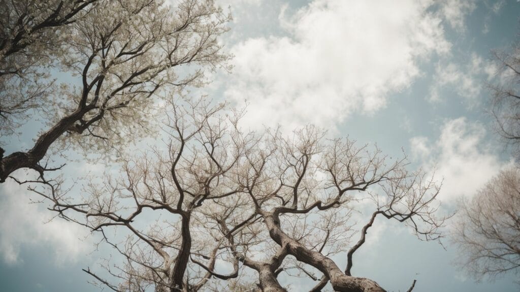 A photo representing growth with bare trees against a blue sky.